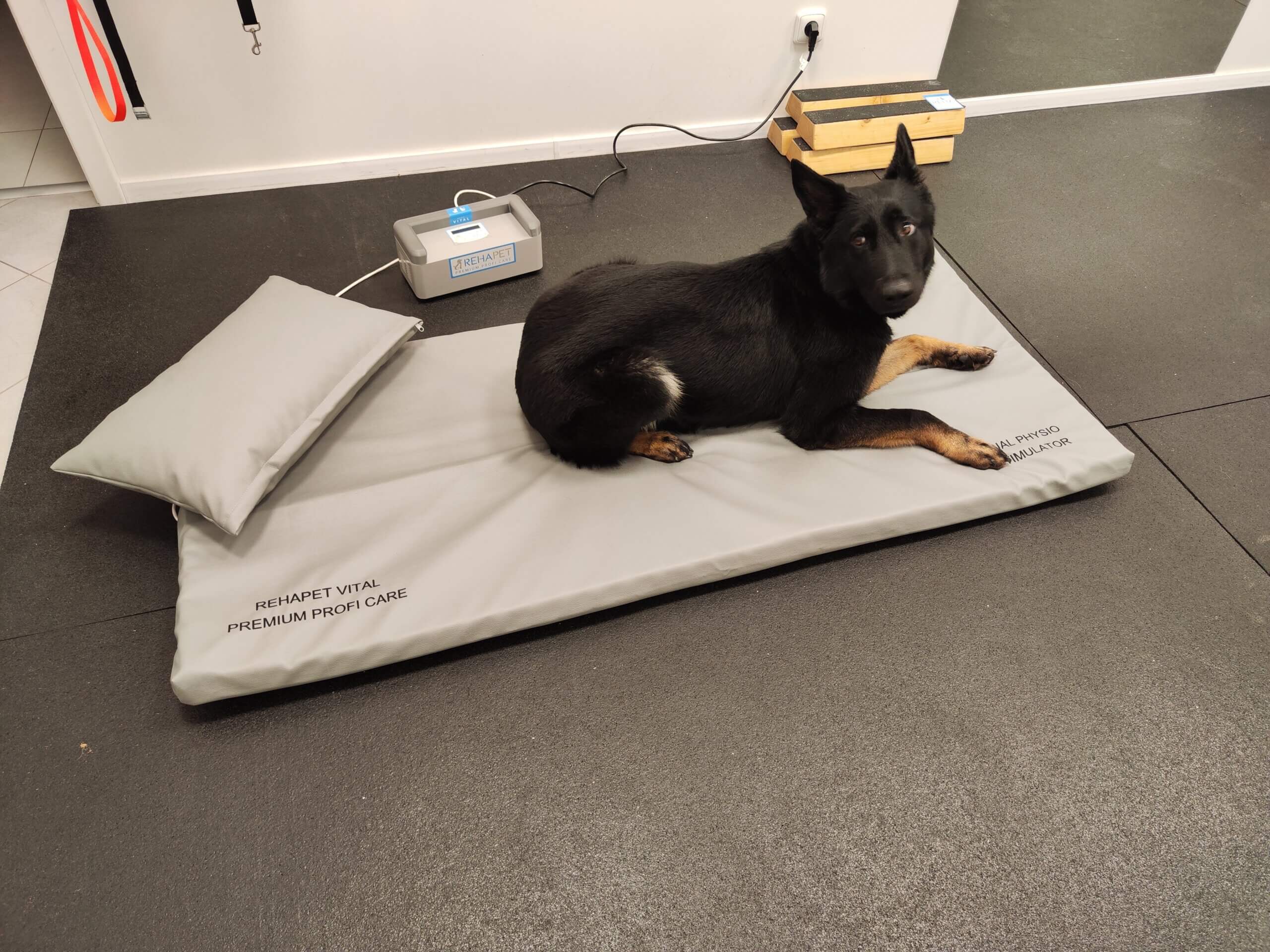 REHAPET PROFI a pes